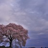 曇天に輝く