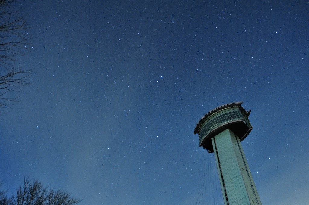 夜空に聳える