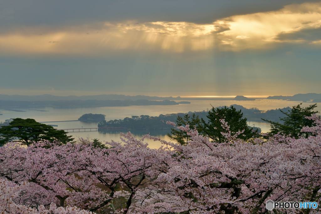 Holy light of spring