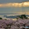 Holy light of spring