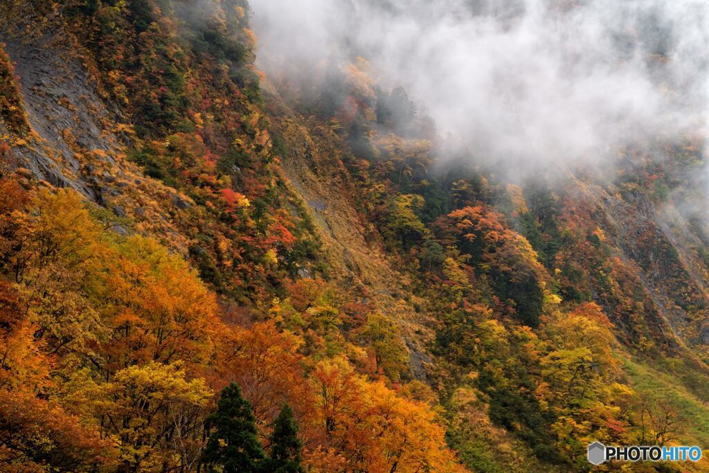 山肌彩る