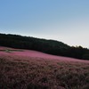 赤そばの里