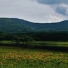 雄国沼の夏