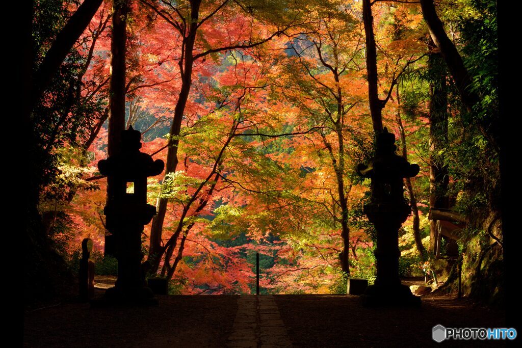 紅葉の参道