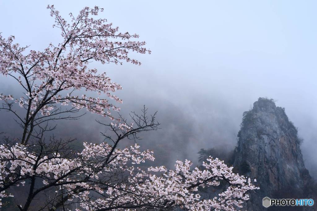 天空に咲く
