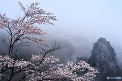 天空に咲く