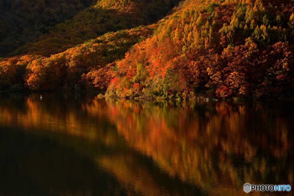 秋染めの湖畔