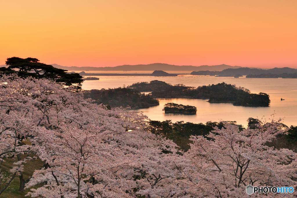 朝焼春景