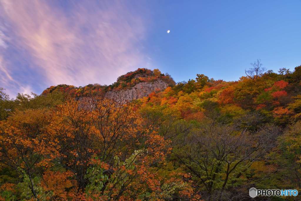 月下の紅葉