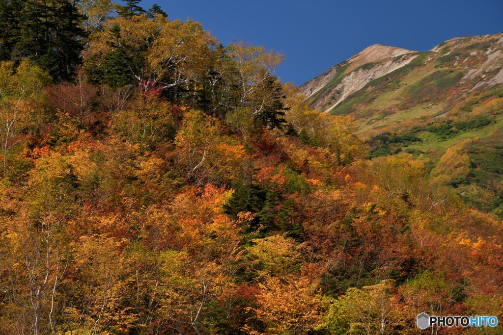 秋色の山