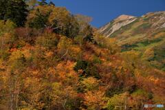 秋色の山