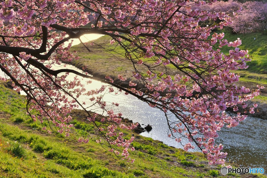 春の小川