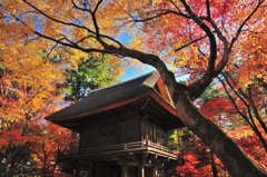 秋の平林寺