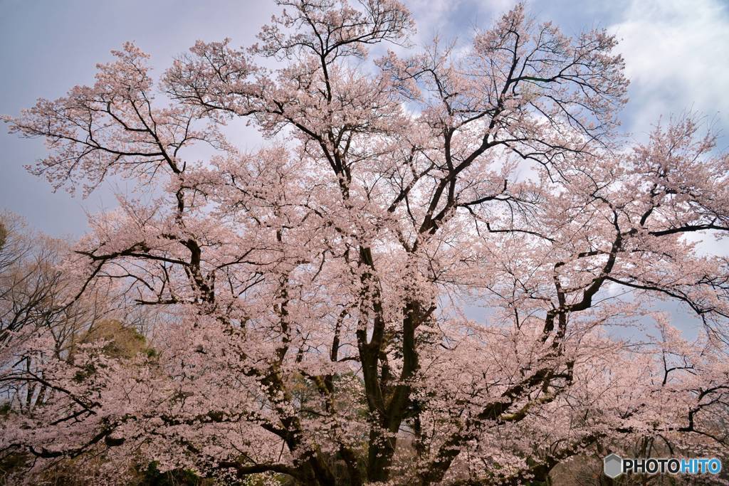 末広がり