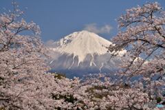 NIPPONの春