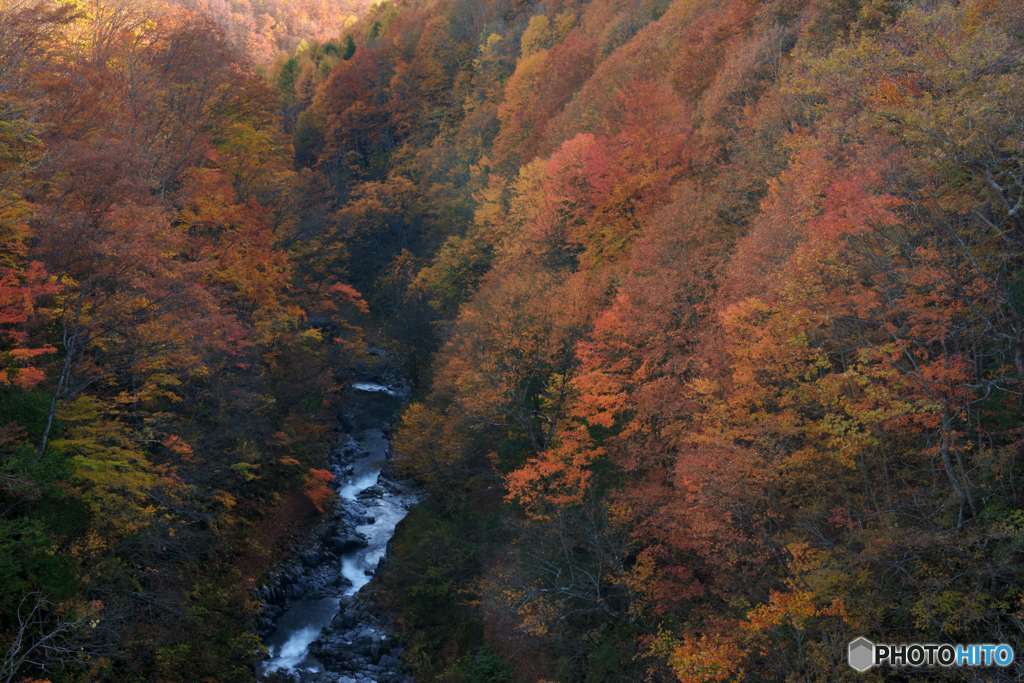 錦秋の峡谷