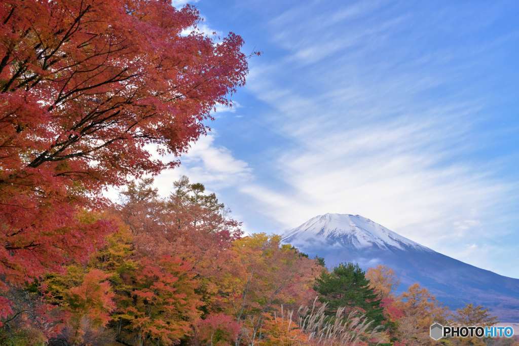 紅葉と富士