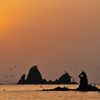 夕日に舞う