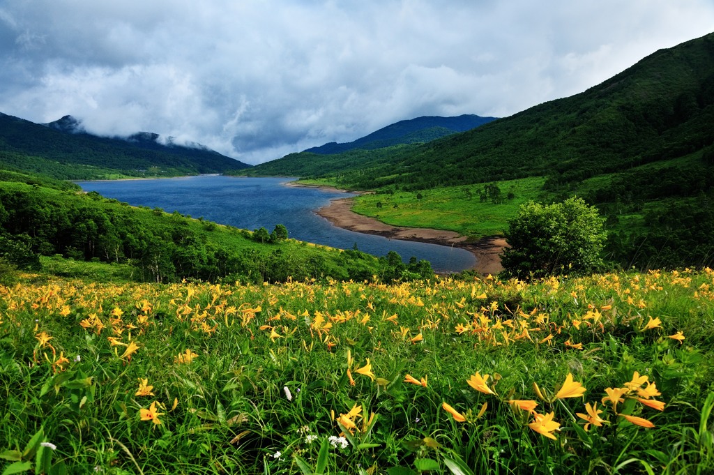 夏の野反湖