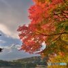 秋は紅葉が主役
