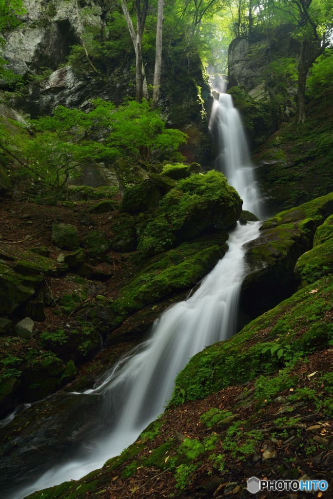 苔岩を縫う