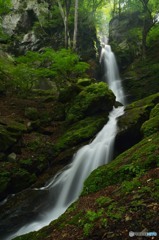 苔岩を縫う