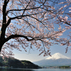 春の河口湖
