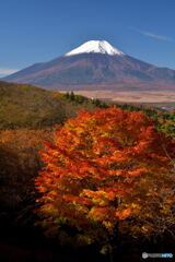 富士と紅葉