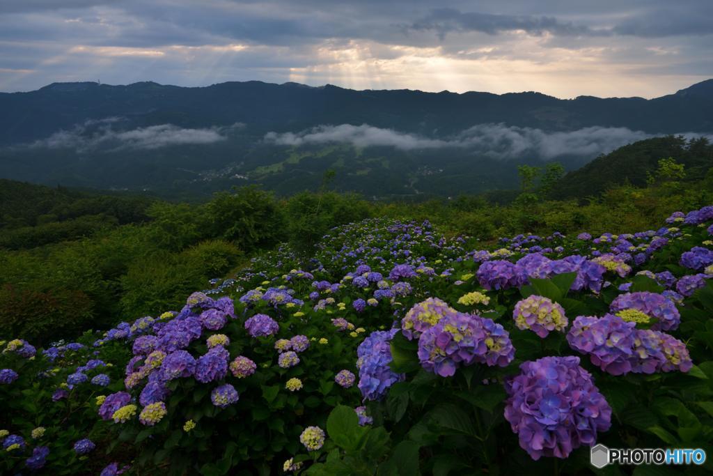 天使が舞い降りた朝