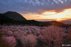 夕照桜峠