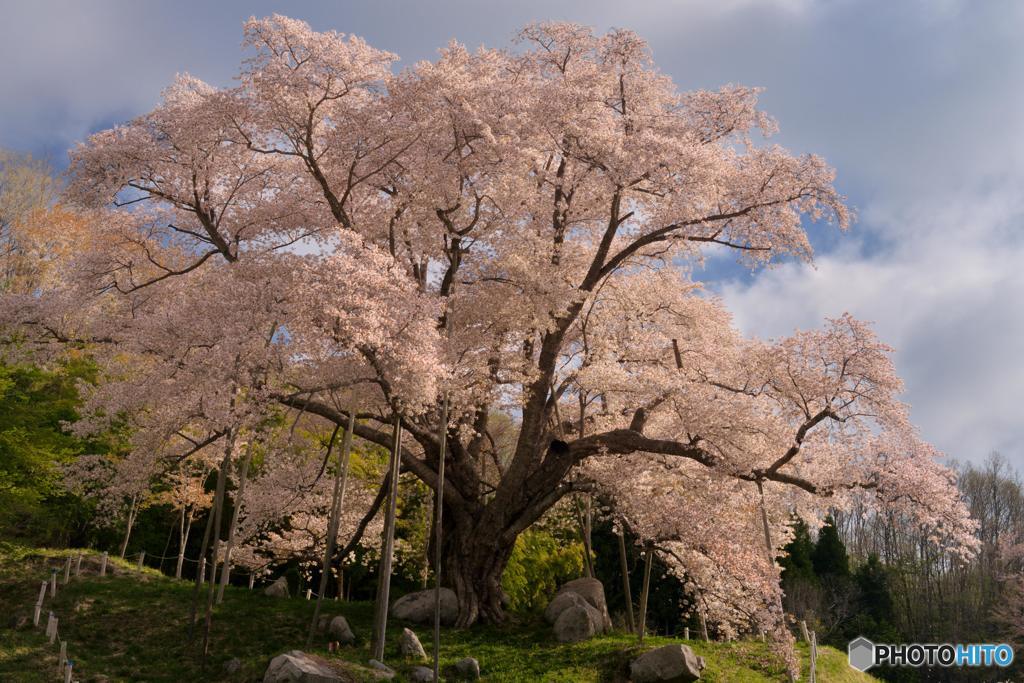 400年の貫禄