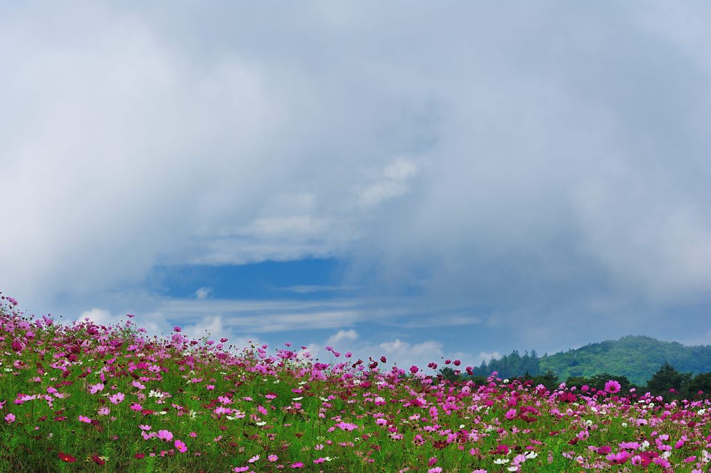 夏から秋へ