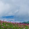 夏から秋へ