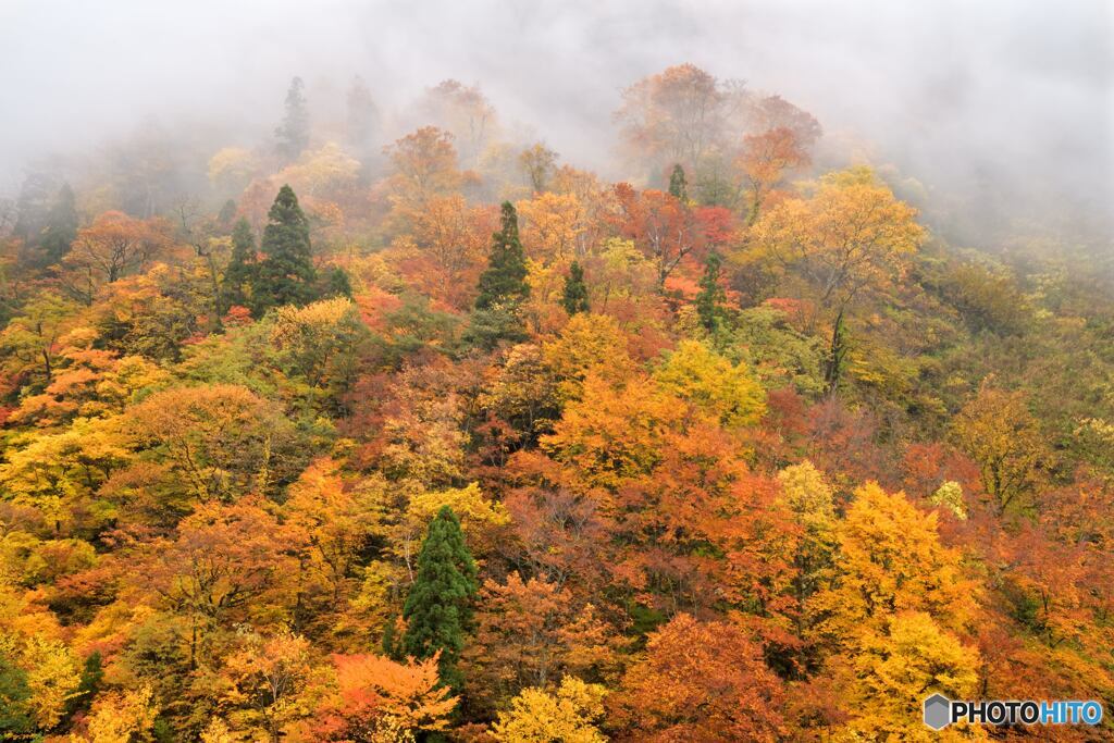 煙る秋の山