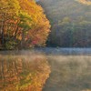 黄金色の曲沢沼