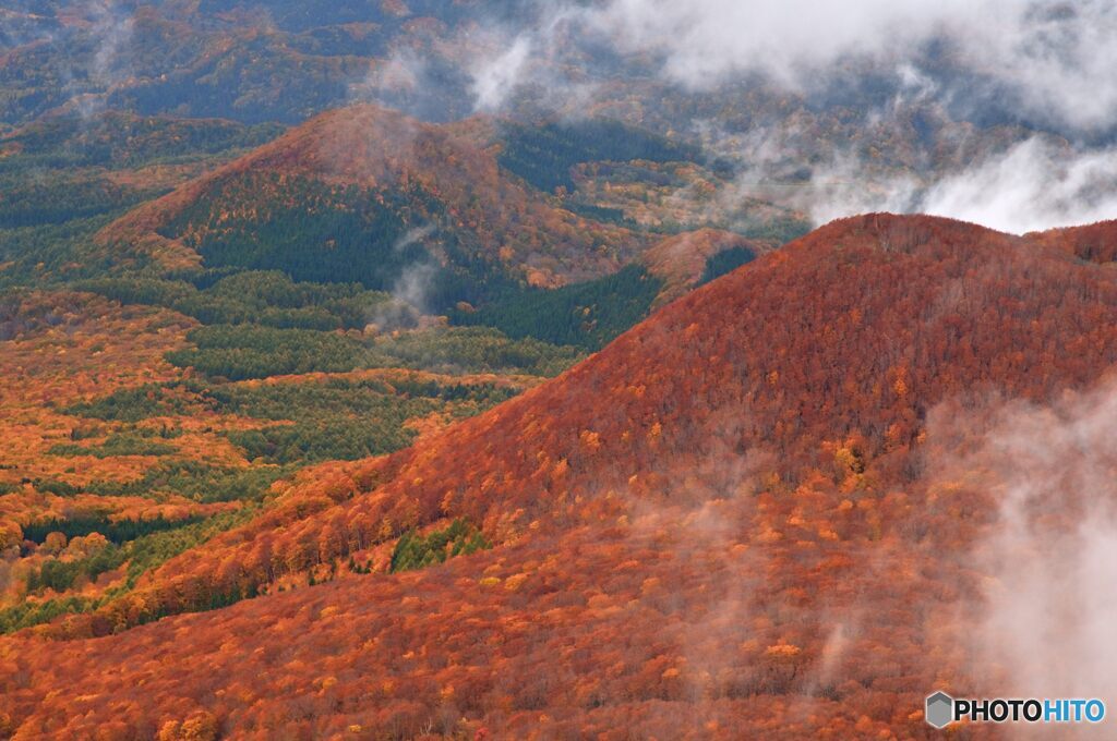 鳥瞰秋景