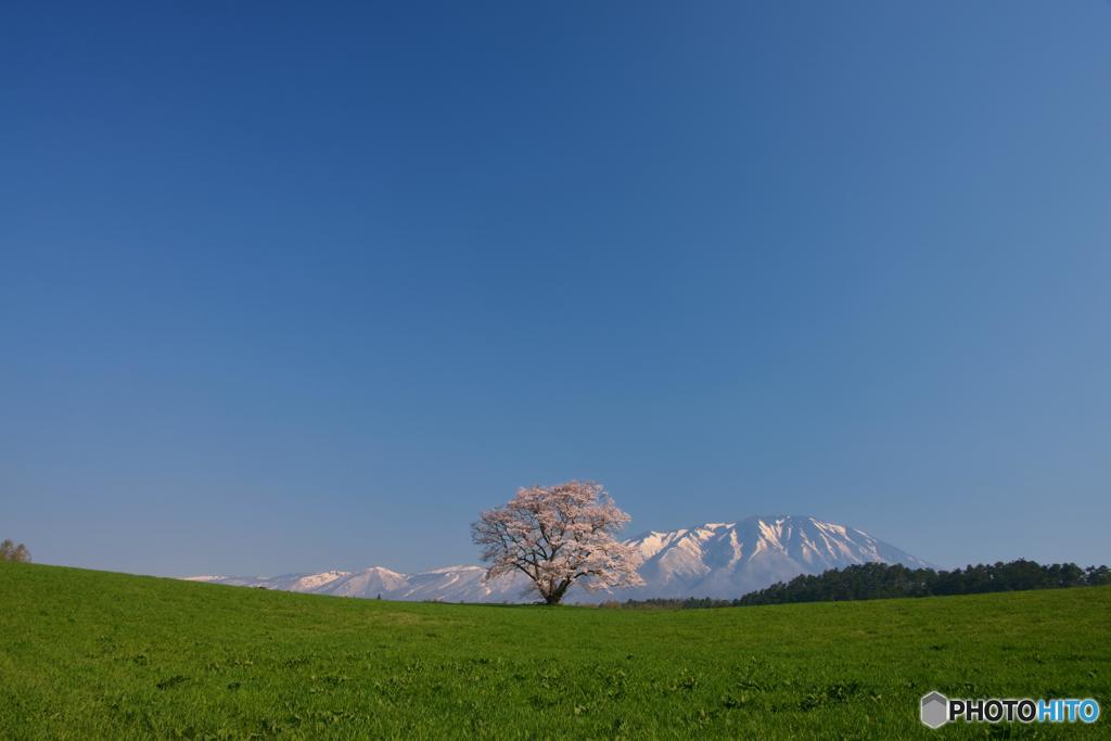 青空の下