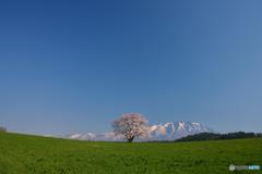 青空の下