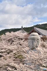 桜大仏
