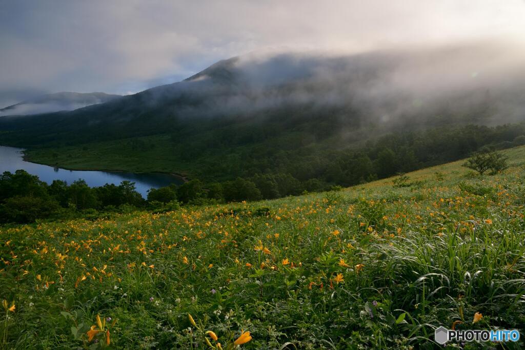 夏山の朝