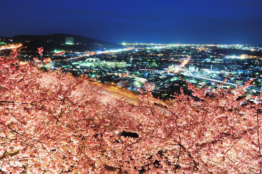 松田山の春の夜