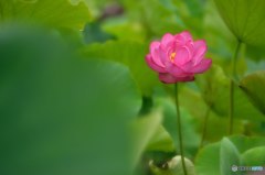 まるで小悪魔
