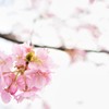 団結