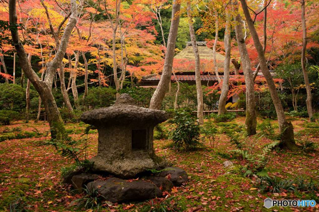 尼寺の秋