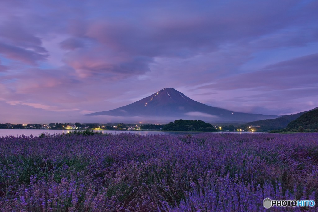 紫の夜明け