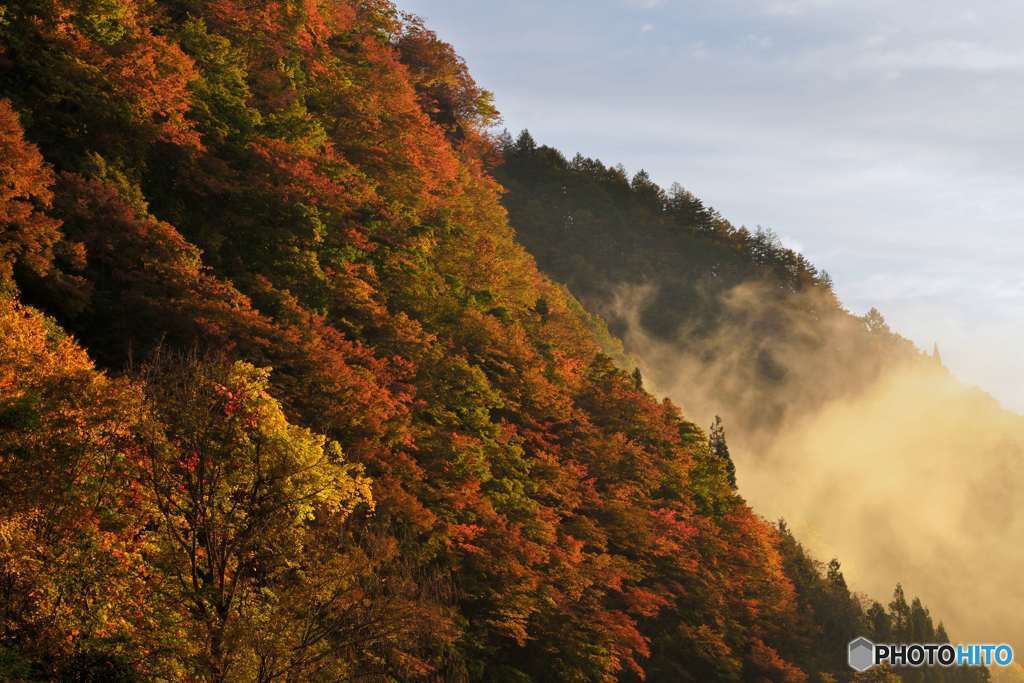 朝の光