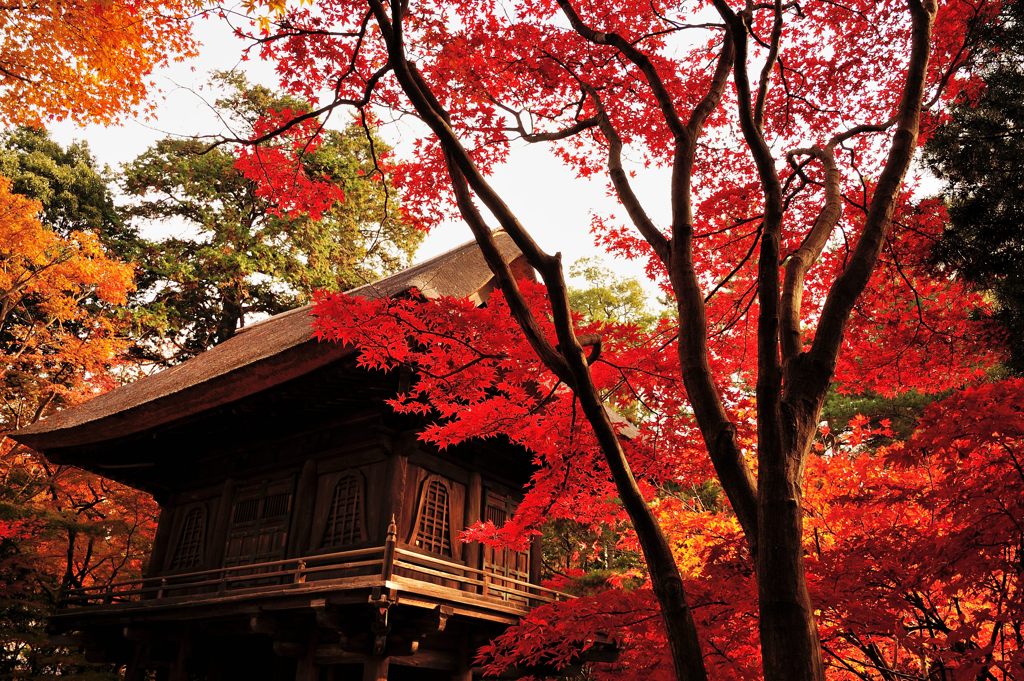 錦秋平林寺