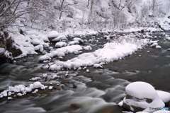 裾花川雪景色