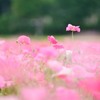 一番目指して！