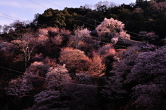 ライフライン